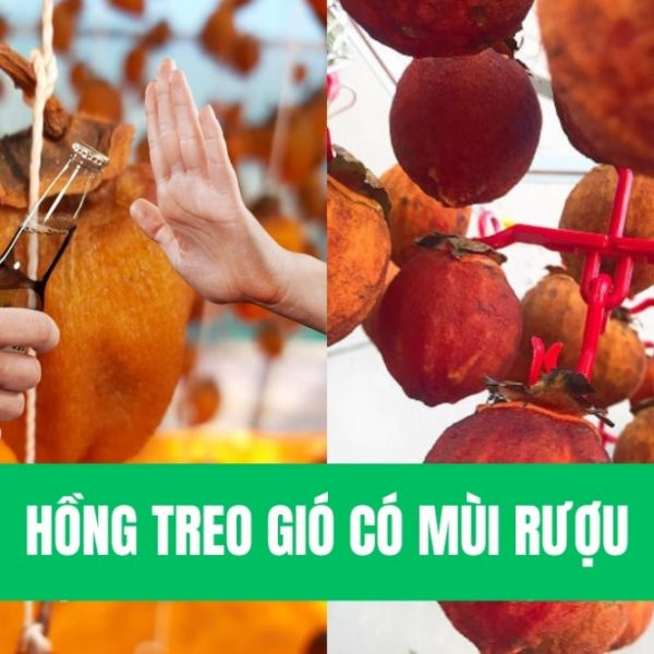 Hồng treo gió có mùi rượu